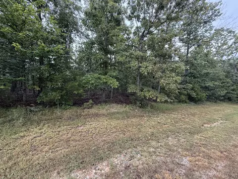 000 Private Road 2532, Mountain View, MO 65548 photo 8