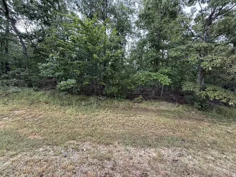 000 Private Road 2532, Mountain View, MO 65548 photo 7