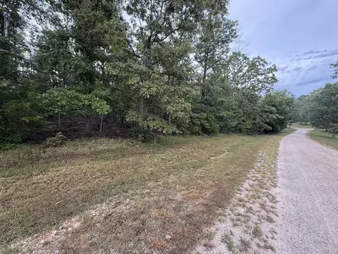 000 Private Road 2532, Mountain View, MO 65548 photo 5