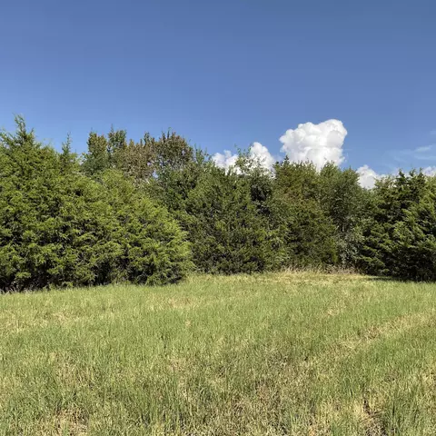 000 W Farm Road 116 - Tract 3, Bois D Arc, MO 65612
