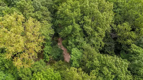 1928 Oldfield Rd, Oldfield, MO 65720 photo 58