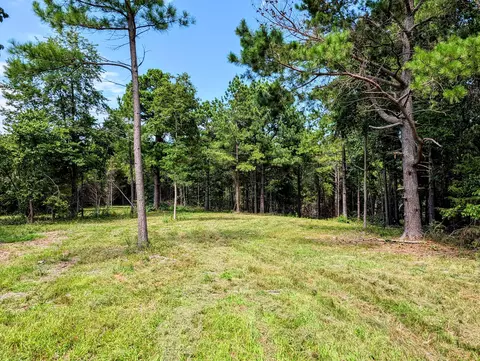 651 Emerald Rd, Spokane, MO 65754 photo 3