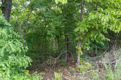 tbd Old Rte 76, Branson, MO 65616 photo 9