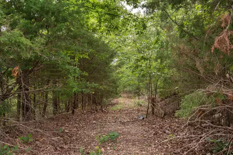 tbd Old Rte 76, Branson, MO 65616 photo 6