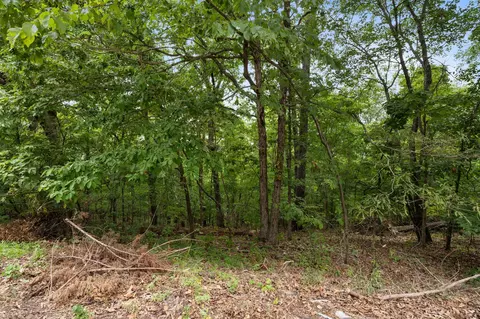 tbd Old Rte 76, Branson, MO 65616 photo 14
