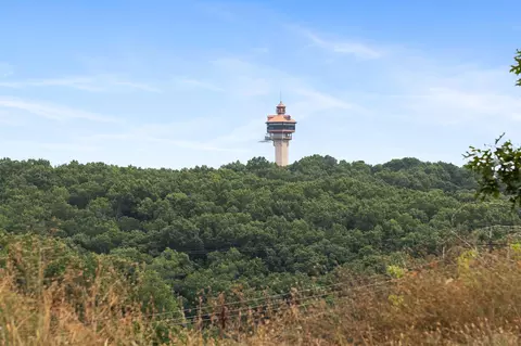 tbd Old Rte 76, Branson, MO 65616 photo 4