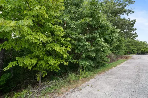 tbd Old Rte 76, Branson, MO 65616 photo 8