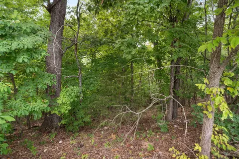 tbd Old Rte 76, Branson, MO 65616 photo 10