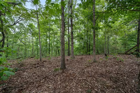 tbd Old Rte 76, Branson, MO 65616 photo 18