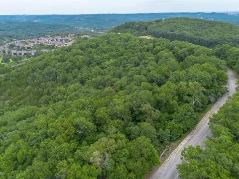 tbd Old Rte 76, Branson, MO 65616 photo 21
