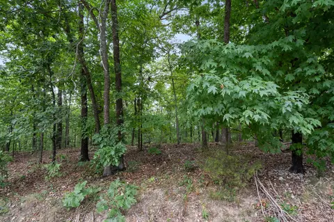 tbd Old Rte 76, Branson, MO 65616 photo 17