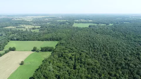 000 E Rebel Rd, Milo, MO 64767 photo 6