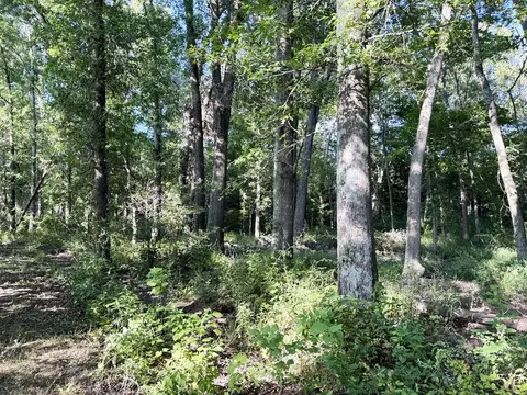 000 E Rebel Rd, Milo, MO 64767 photo 12