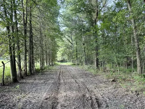 000 E Rebel Rd, Milo, MO 64767 photo 15