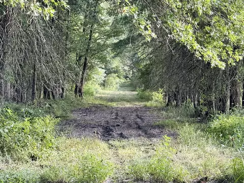 000 E Rebel Rd, Milo, MO 64767 photo 16