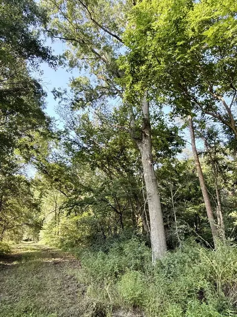 000 E Rebel Rd, Milo, MO 64767 photo 13