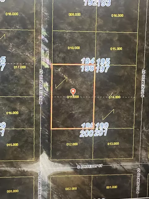 000 Turkey Mountain Ests #2, Shell Knob, MO 65747