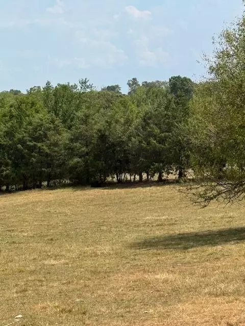 8 Acres State Highway Pp, Sparta, MO 65753 photo 2