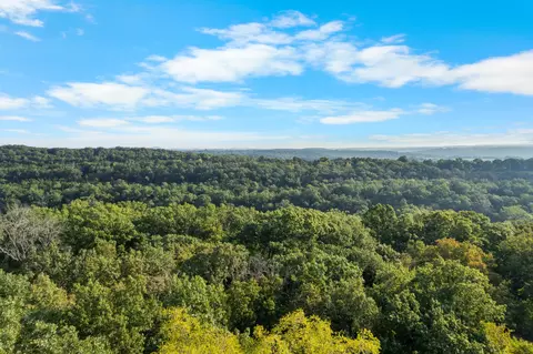 741 Jessi Rd, Forsyth, MO 65653 photo 34