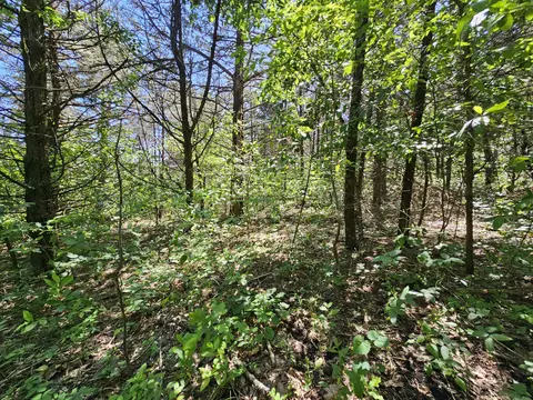 002 E 490th Rd, Bolivar, MO 65613 photo 3