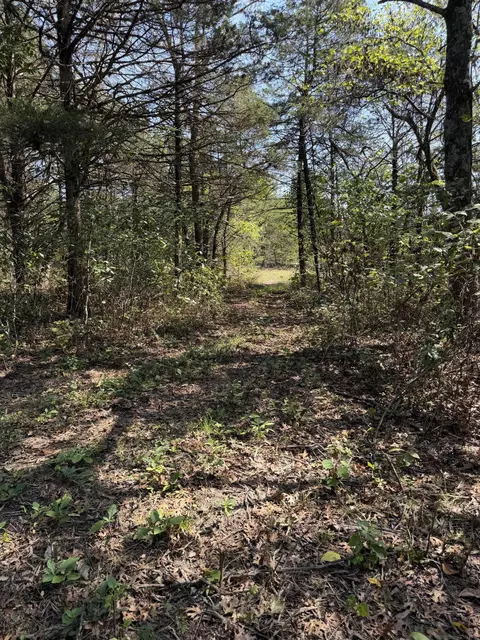002 E 490th Rd, Bolivar, MO 65613 photo 9