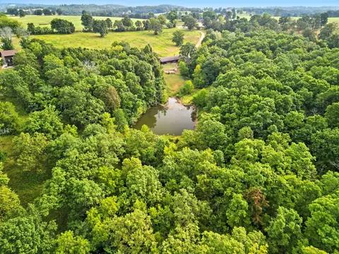 View/Area - 2186 County Road 502, Gainesville, MO 65655 photo 8 of 8