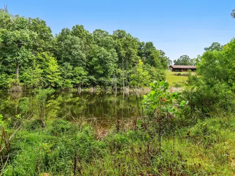 View/Area - 2186 County Road 502, Gainesville, MO 65655 photo 2 of 8
