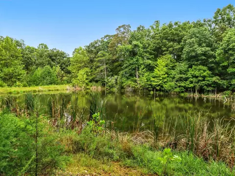 View/Area - 2186 County Road 502, Gainesville, MO 65655 photo 5 of 8