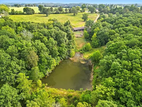 View/Area - 2186 County Road 502, Gainesville, MO 65655 photo 4 of 8