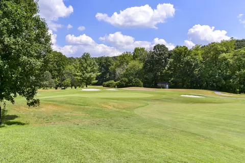 1426 Pointe Royale Dr, Branson, MO 65616 photo 52