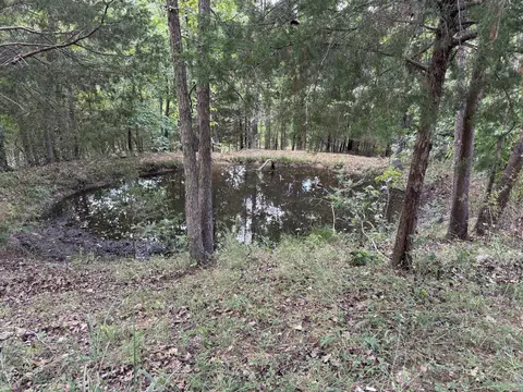 View/Area - 93 W Wind Way, Squires, MO 65755 photo 7 of 10
