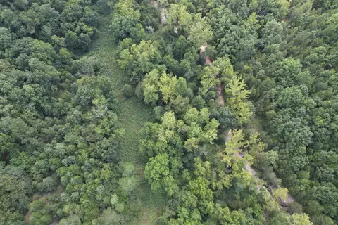 000 Tbd County Road 946, Squires, MO 65755 photo 8