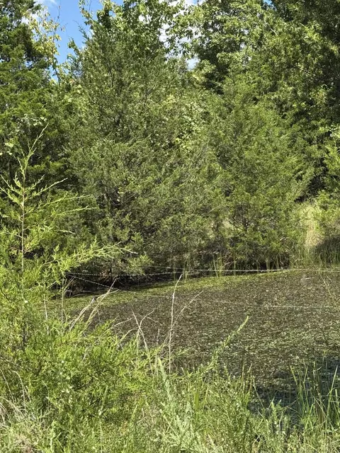000 Tbd County Road 946, Squires, MO 65755 photo 3