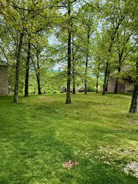 000 Southview, Branson, MO 65616 photo 4