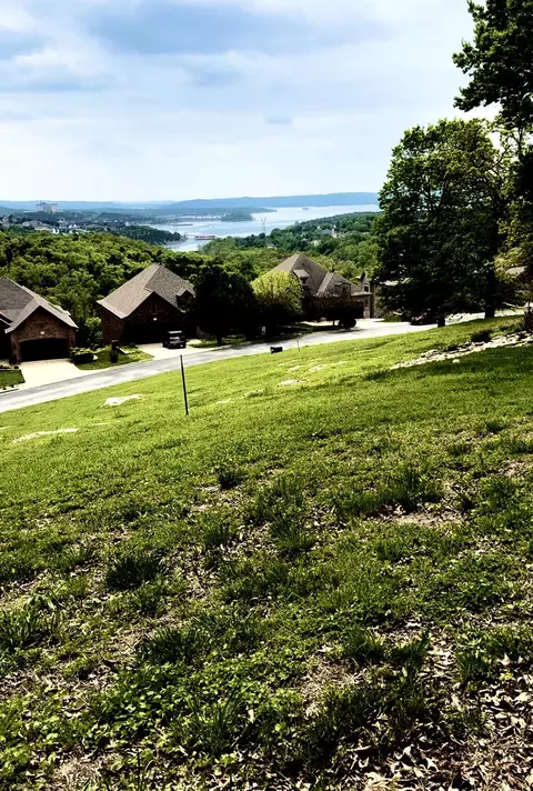 000 Southview, Branson, MO 65616 photo 3