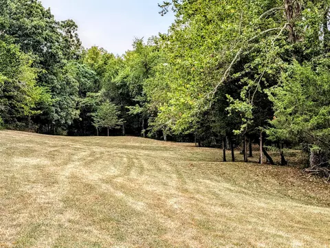 tbd E 540th Rd, Pleasant Hope, MO 65725 photo 8