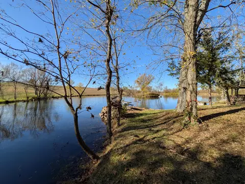 tbd E 540th Rd, Pleasant Hope, MO 65725 photo 12