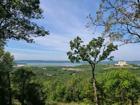 View/Area - 981 Skyview Dr, Branson, MO 65616 photo 5 of 24