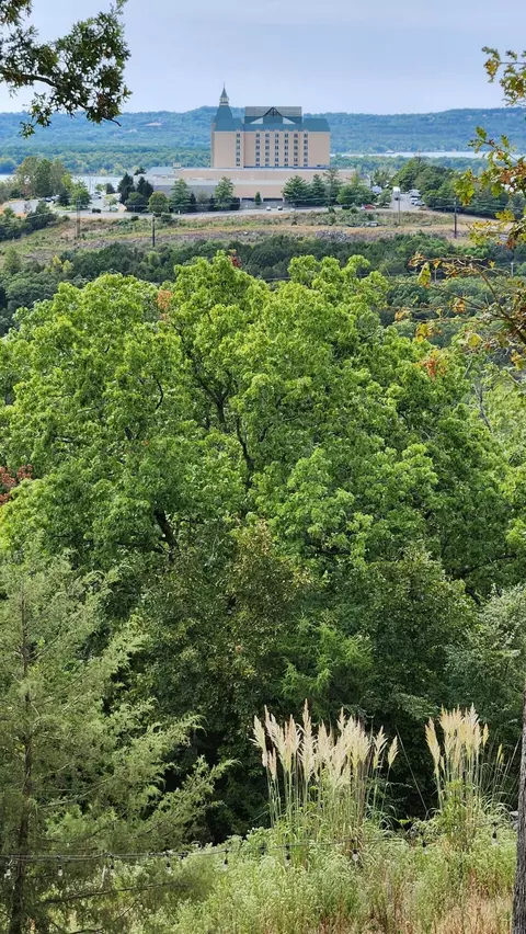 View/Area - 981 Skyview Dr, Branson, MO 65616 photo 8 of 24