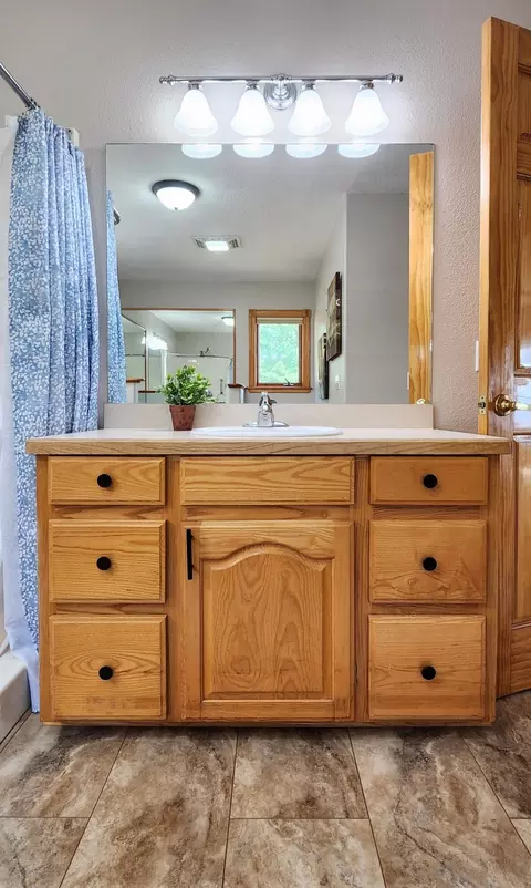Bath - 981 Skyview Dr, Branson, MO 65616 photo 6 of 13