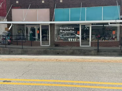 228 Main St, Mammoth Spring, AR 72554 photo 2