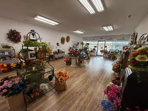 228 Main St, Mammoth Spring, AR 72554 photo 3