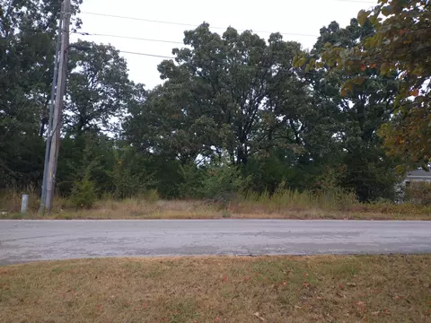 237 Dakota Rd, Branson, MO 65616