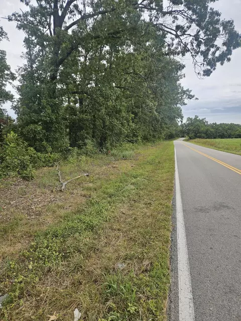 000 Tbd C Hwy, Norwood, MO 65717