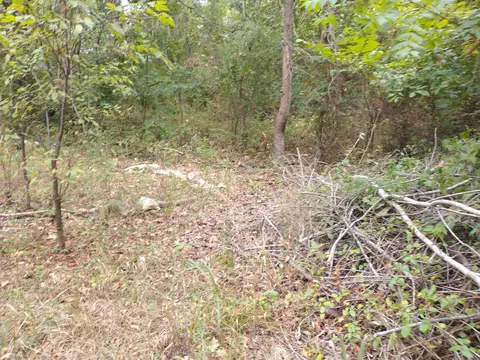 220 Harmony Ln, Branson, MO 65616