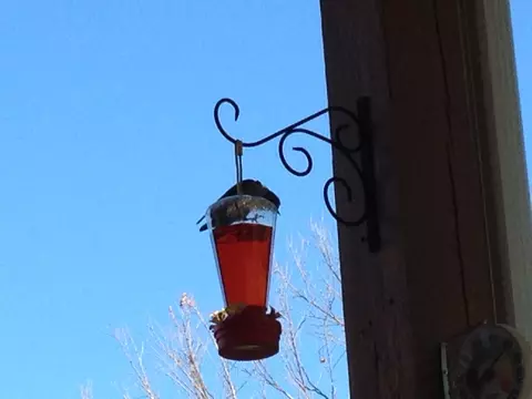 301 Dakota Rd, Branson, MO 65616 photo 2
