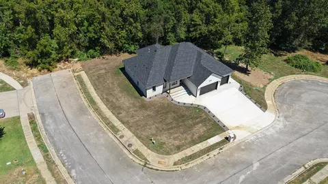 1225 W Rainey St, Ozark, MO 65721 photo 3