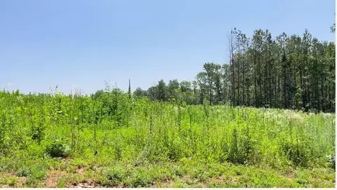 000 Co Rd 3440, Mountain View, MO 65548 photo 6