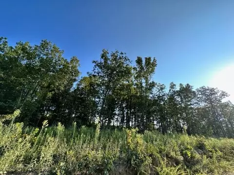 000 Co Rd 3440, Mountain View, MO 65548 photo 12
