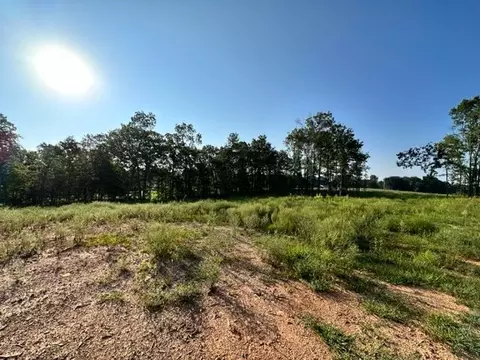 000 Co Rd 3440, Mountain View, MO 65548 photo 10